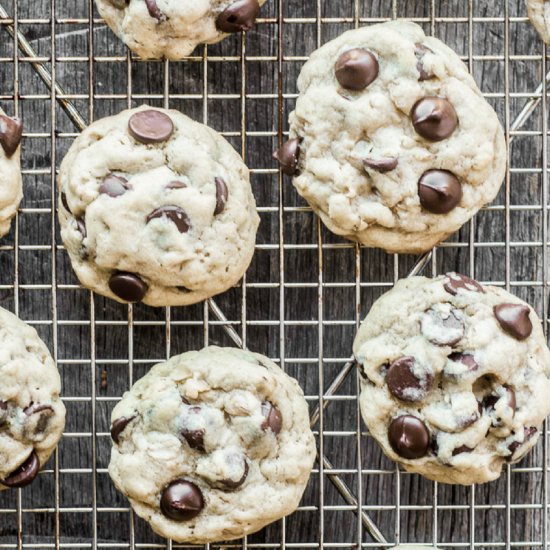 Oatmeal Chocolate Chip cookie